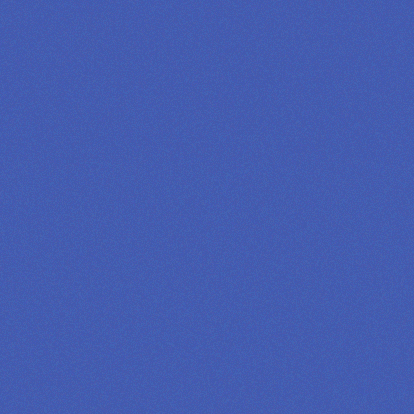 A solid blue background fills the image, providing an even, vibrant color with no distinct objects or actions present.