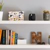 Shelves with books, plants and decorative items