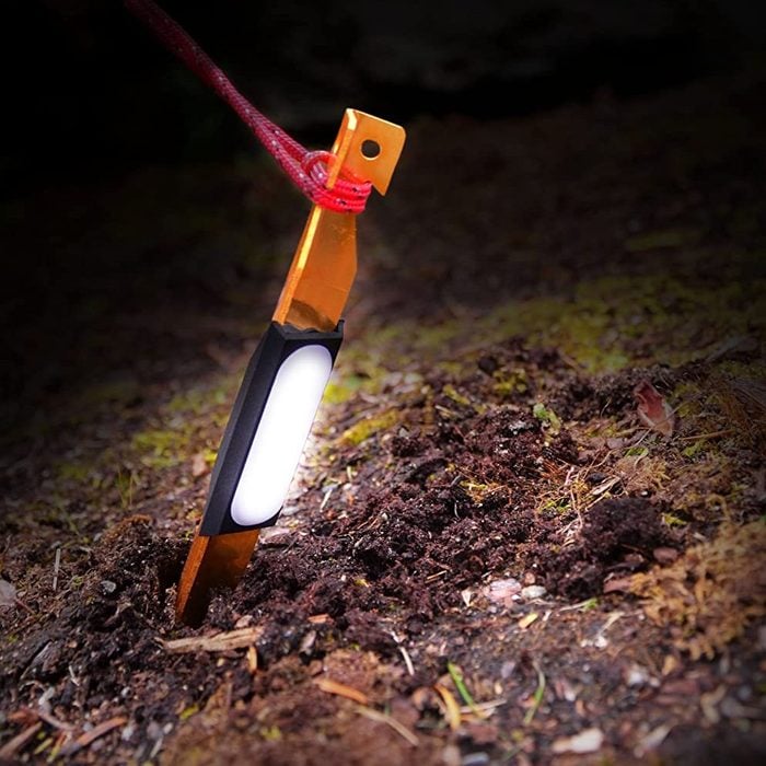 A metal stake is inserted into the ground, illuminated by a light source, with a red cord attached, surrounded by dark soil and foliage.
