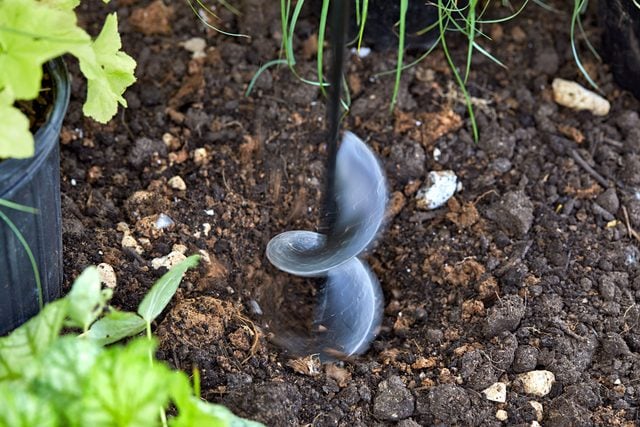 hole for plant being dug with garden auger attachment