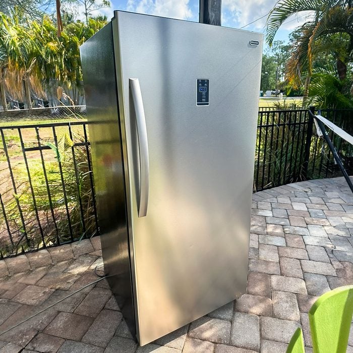 Whytner Upright Convertible Deep Freezer Refrigerator