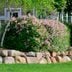 Front Yard Landscaping Ideas With Rocks
