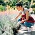 Low-Maintenance Landscaping Ideas for Your Yard and Garden